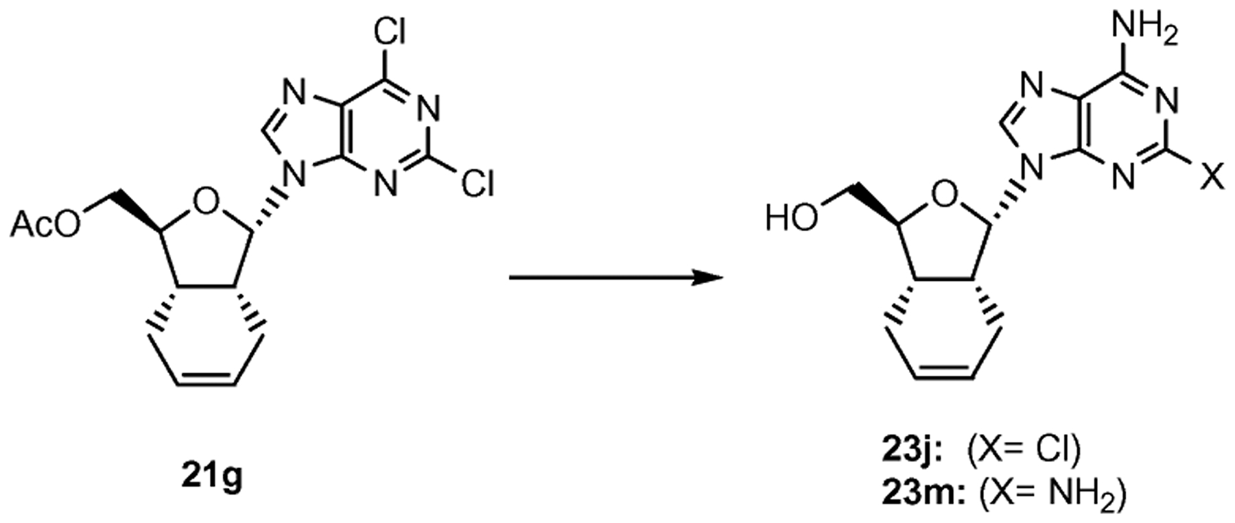 Scheme 4