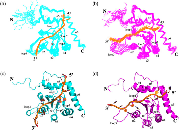 FIGURE 3