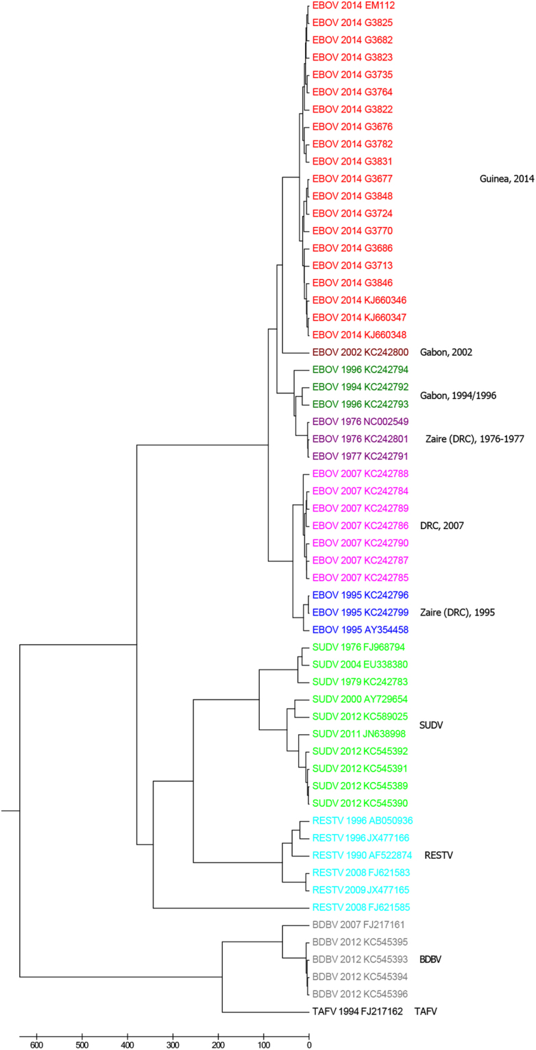 Figure 4