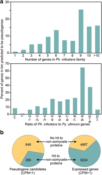 Fig. 13