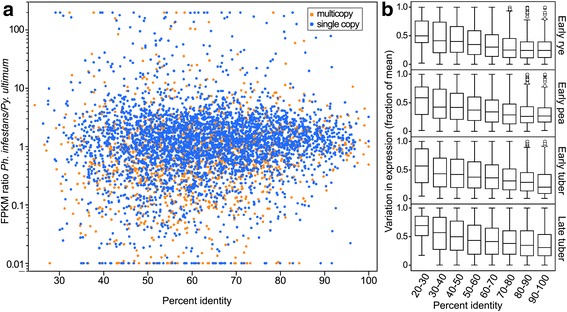 Fig. 10