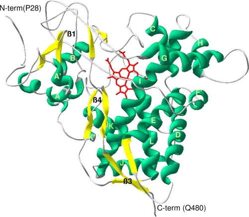 FIG. 3.