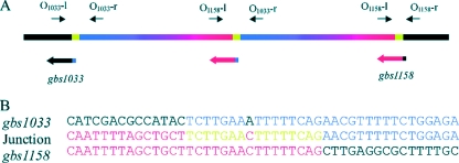 FIG. 3.