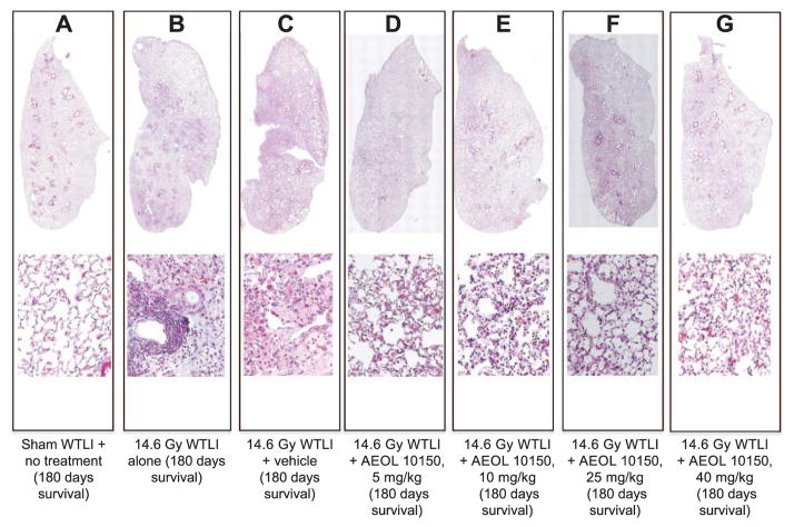 FIG. 7