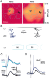 Fig. 3.