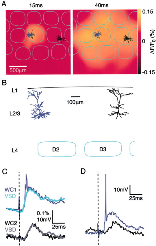 Fig. 3.