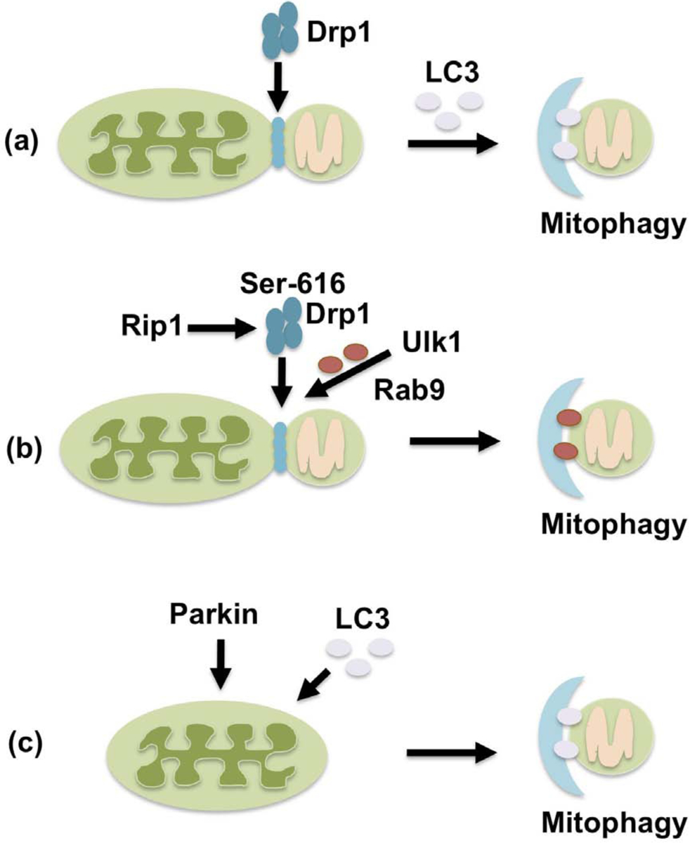 Figure 2.