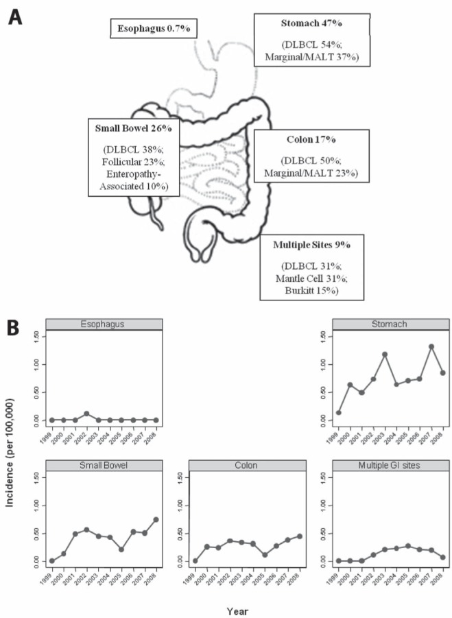 Figure 1)