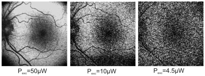 Fig. 10