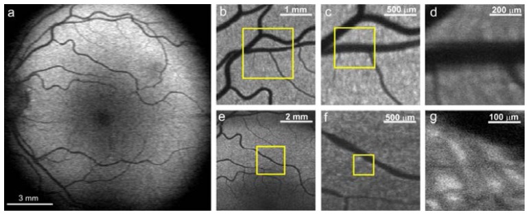 Fig. 8