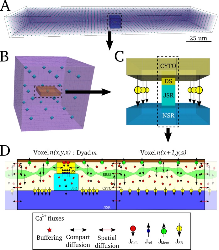 Fig 4