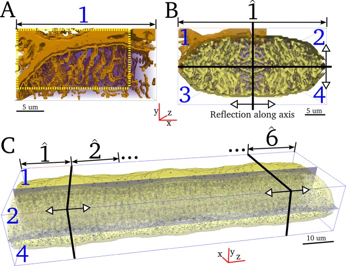 Fig 5