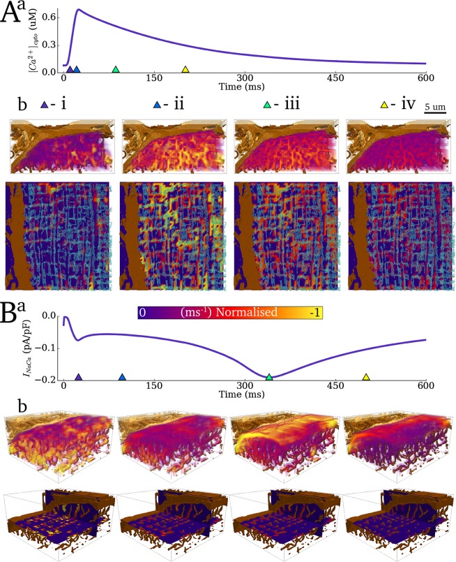 Fig 10