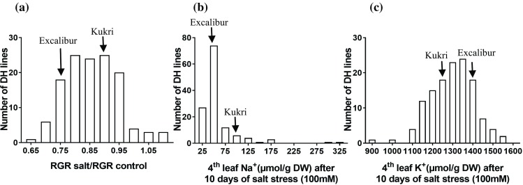 Fig. 2