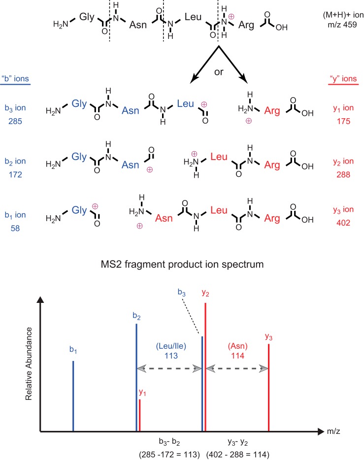 FIGURE 2.