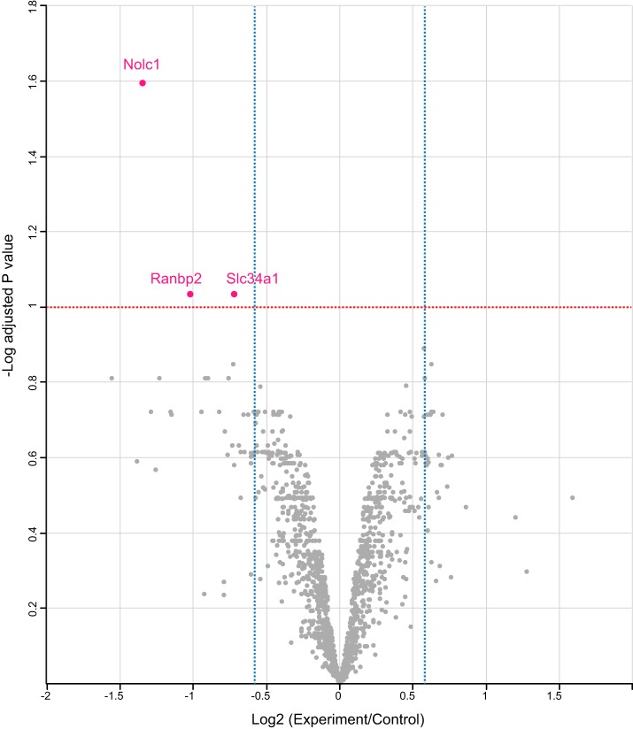 FIGURE 11.