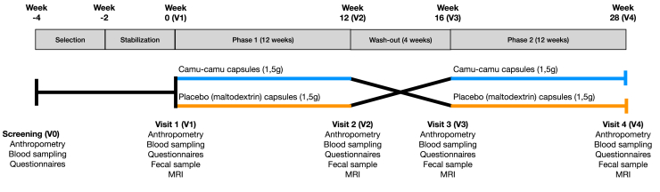 Figure 1