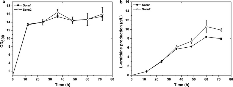 Fig. 4