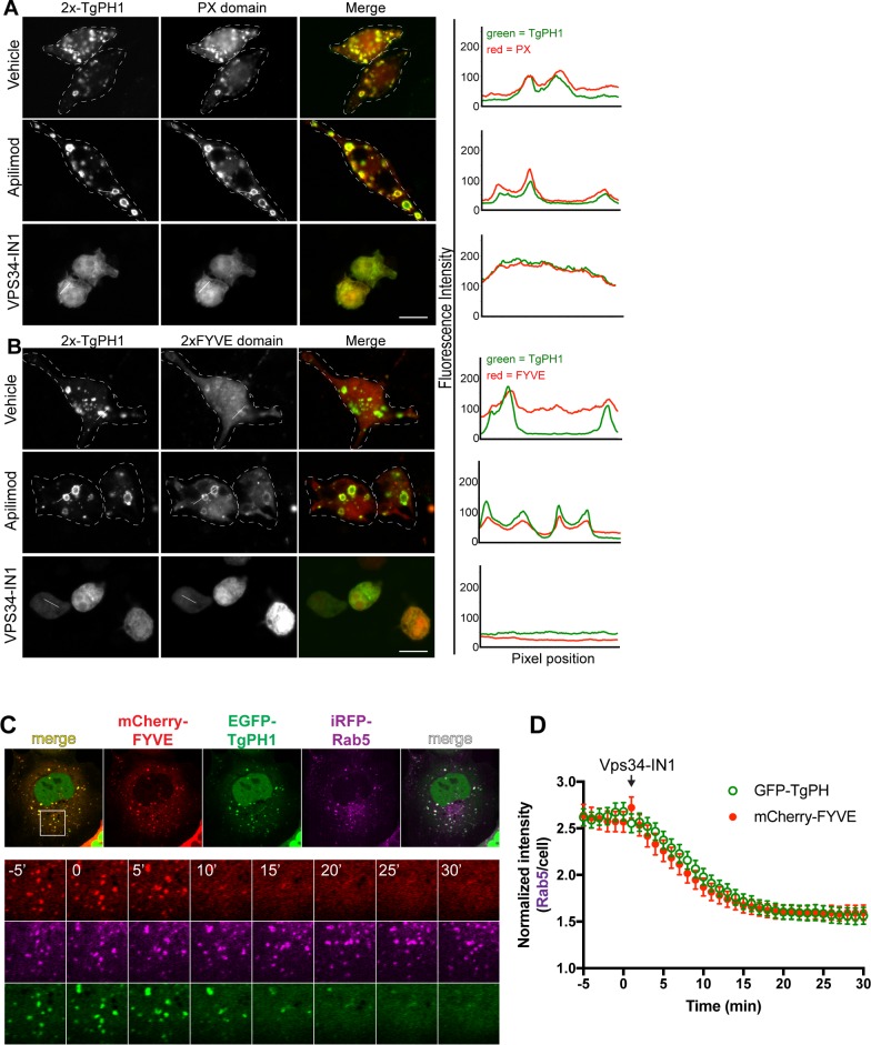 Fig 6