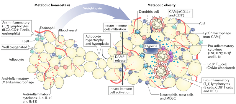 Fig. 2 |