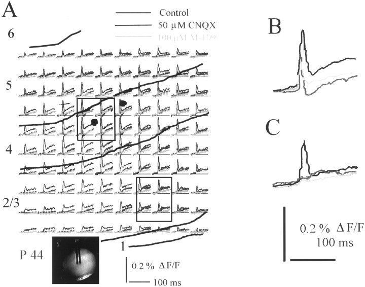 Fig. 4.