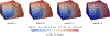 Figure 11: