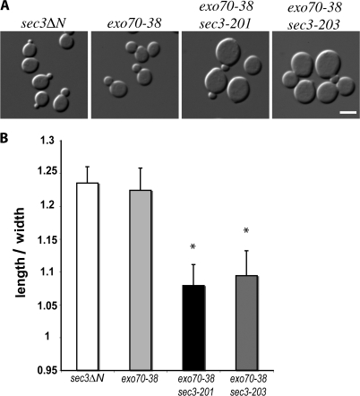 Figure 10.