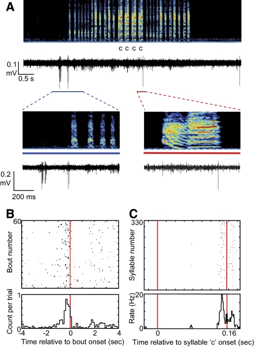 Fig. 3.