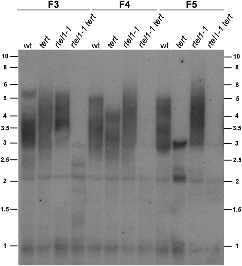 Figure 10.