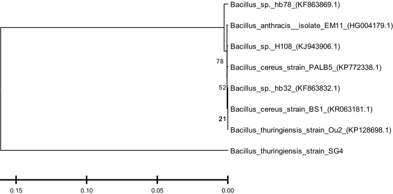 Fig. 1