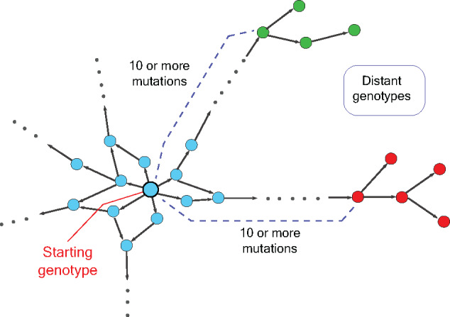 Figure 4: