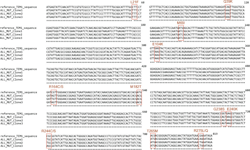 Figure 3: