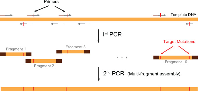 Figure 1: