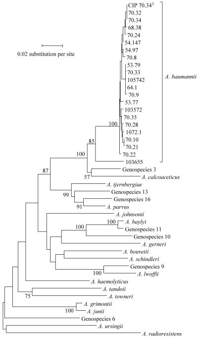 FIG. 3.