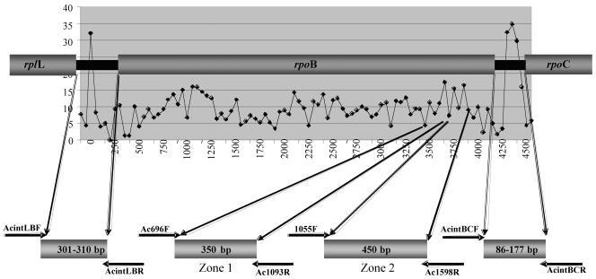 FIG. 1.