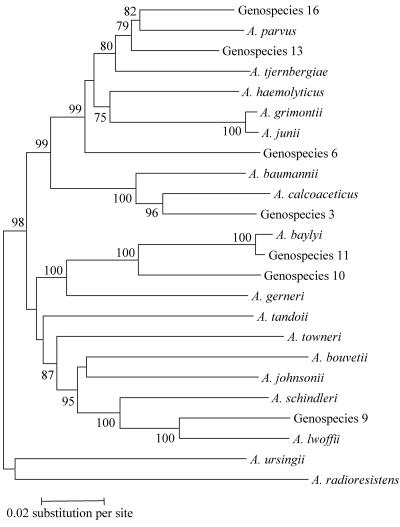 FIG. 2.