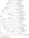 FIG. 2.