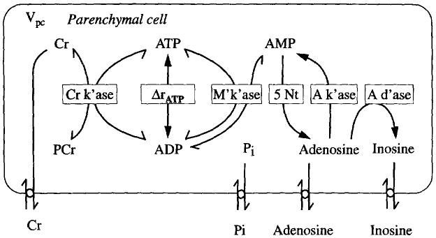 Fig. 5