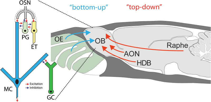 Figure 1.