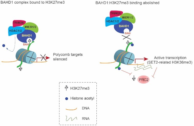 Graphical Abstract