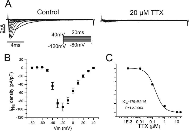 Figure 5