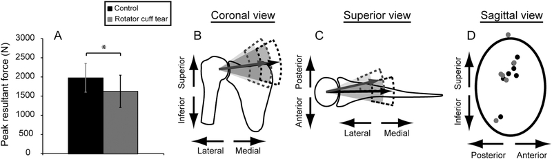 Fig. 3: