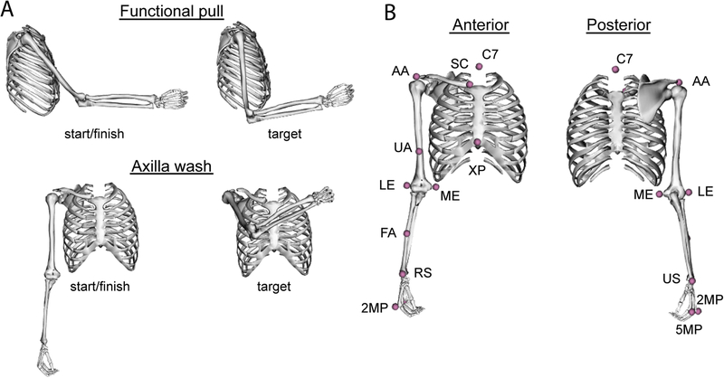 Fig. 1: