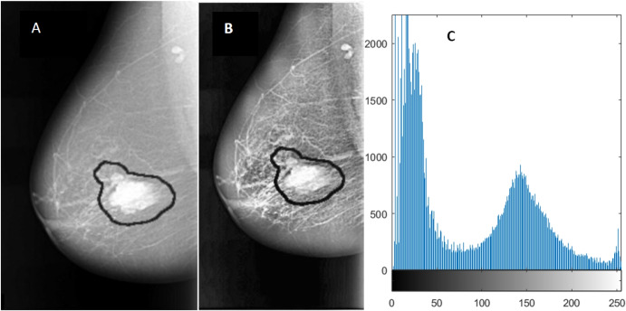 Fig. 4