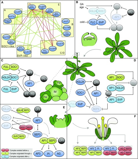 Figure 5.