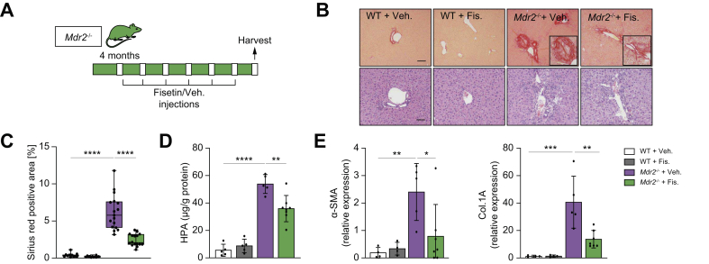 Fig. 6