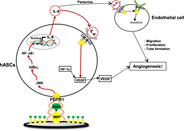 Fig. 10