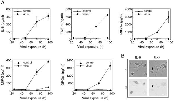 FIG. 4.