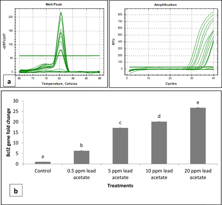 Fig. 17