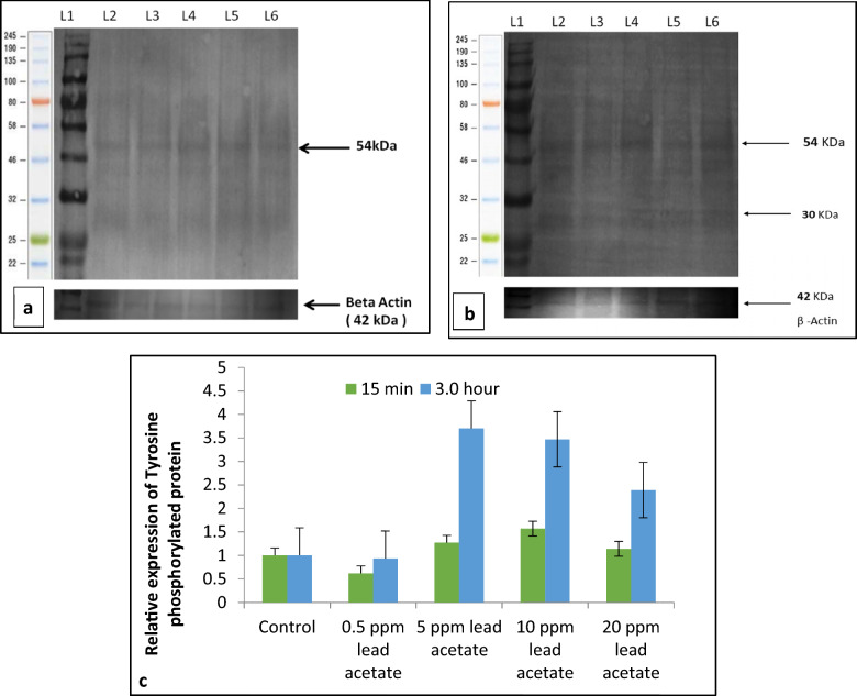 Fig. 18